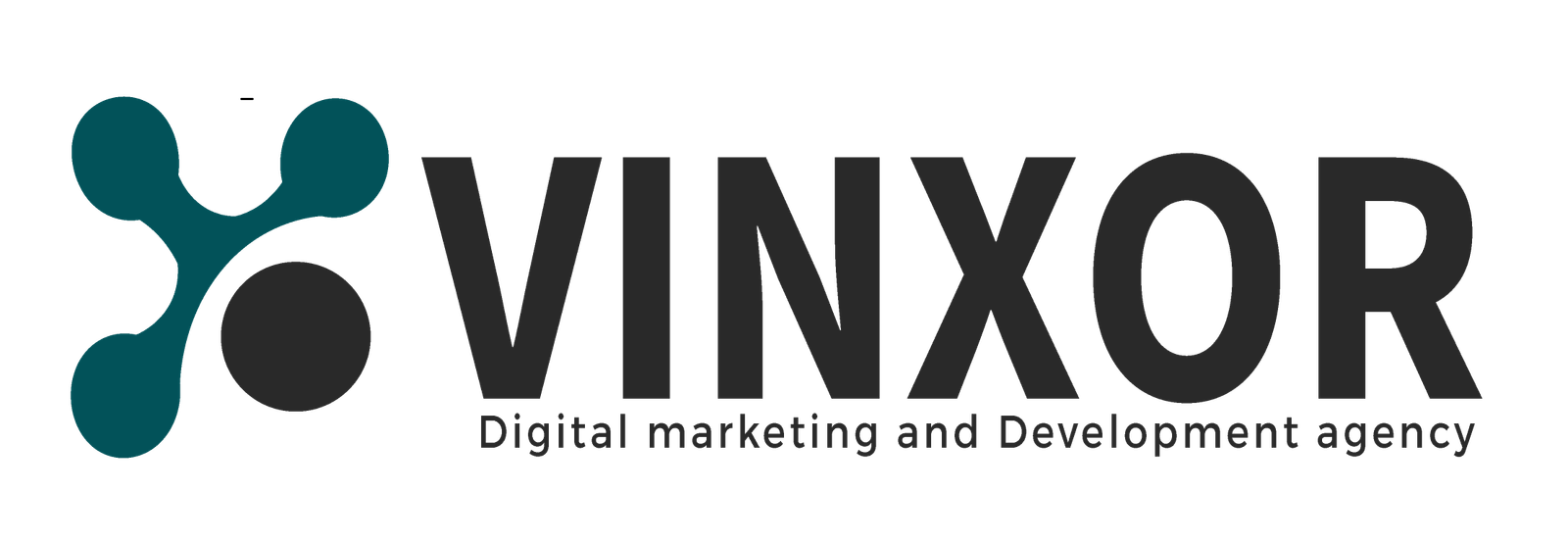 Vinxor - Software Development Company